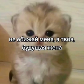 Люлик 4 — стикер для MAX