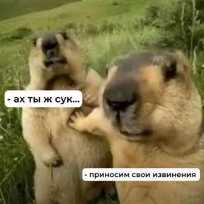 Люлик 4 — стикер для MAX