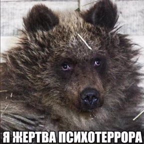 Люлик 4 — стикер для MAX