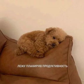 Люлик 4 — стикер для MAX