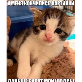 Мем — стикер для MAX