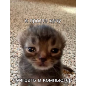 Мем — стикер для MAX