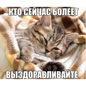 спороч кароч! — стикер для MAX