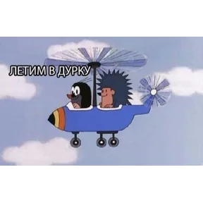 Стикер
