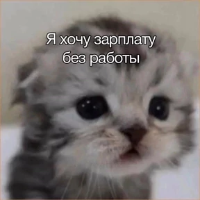 rrollfr — стикер для MAX