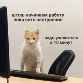 Моё — стикер для MAX