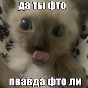 Стикер 68 из набора Нормальные стикеры в MAX