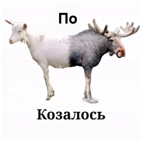 Ответочка — стикер для MAX