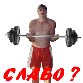 Alex Photo — стикер для MAX