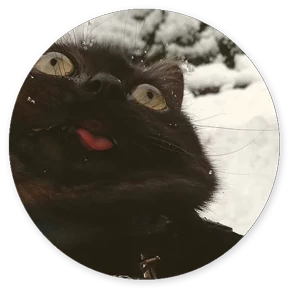 Стикер