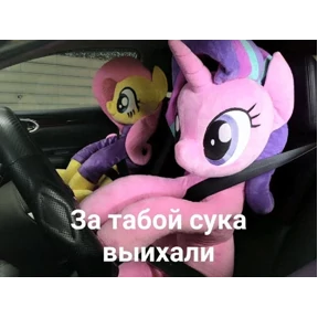 Коты-мемы 3 — стикер для MAX