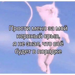 Коты-мемы 3 — стикер для MAX