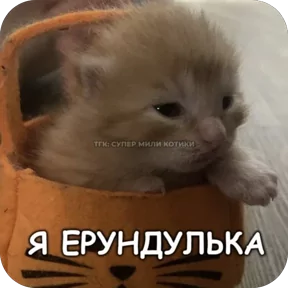 Фото — 22 августа 2026 г. в 11:44:01.751