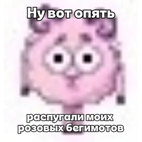 Коты-мемы 3 — стикер для MAX
