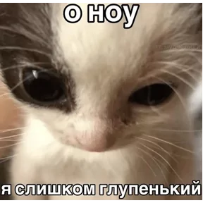 Стикер