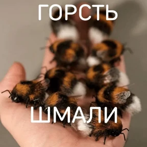 Коты-мемы 3 — стикер для MAX