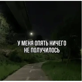 Коты-мемы 3 — стикер для MAX