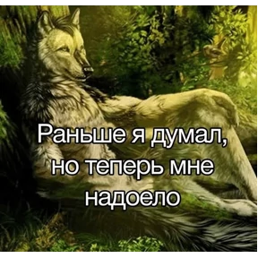 Коты-мемы 3 — стикер для MAX
