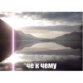 Коты-мемы 3 — стикер для MAX