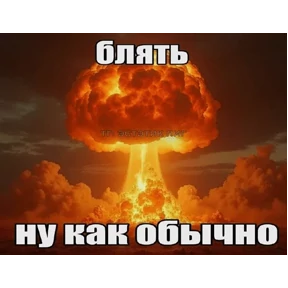 Коты-мемы 3 — стикер для MAX