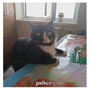 Коты-мемы 3 — стикер для MAX