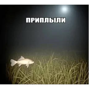Стикер