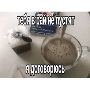 Коты-мемы 3 — стикер для MAX