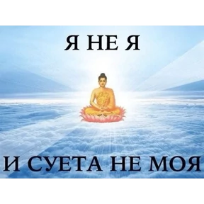 Коты-мемы 3 — стикер для MAX