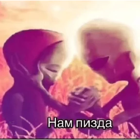 Коты-мемы 3 — стикер для MAX
