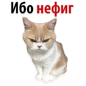 Ух ты — стикер для MAX