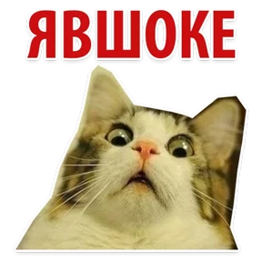 Ух ты — стикер для MAX