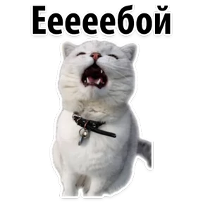Ух ты — стикер для MAX