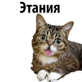 Ух ты — стикер для MAX