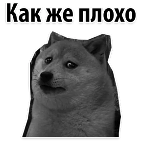 Ух ты — стикер для MAX