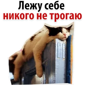 Ух ты — стикер для MAX