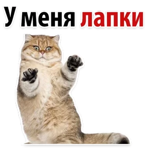 Ух ты — стикер для MAX