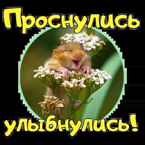 Прив пок — стикер для MAX