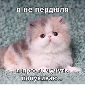 Стикер 14 из набора Котопузы