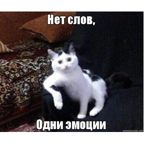 Просто — стикер для MAX