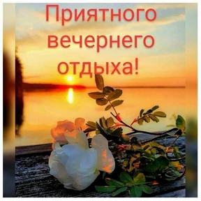 Стикер 19 из набора Доброй ночи