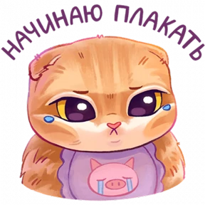 мявс — стикер для MAX