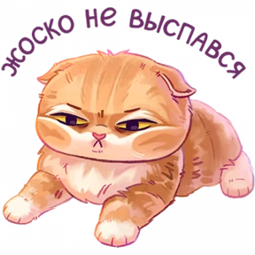мявс — стикер для MAX