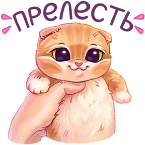 мявс — стикер для MAX
