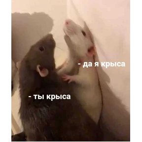 Стикер 17 из набора Яна