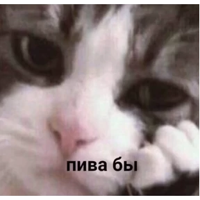 ххх — стикер для MAX