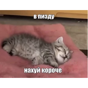 ххх — стикер для MAX