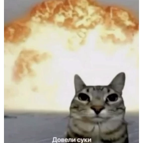 ххх — стикер для MAX