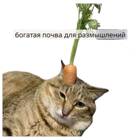 Котики — стикер для MAX