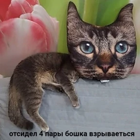 Люлик 4 — стикер для MAX