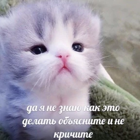Люлик 4 — стикер для MAX